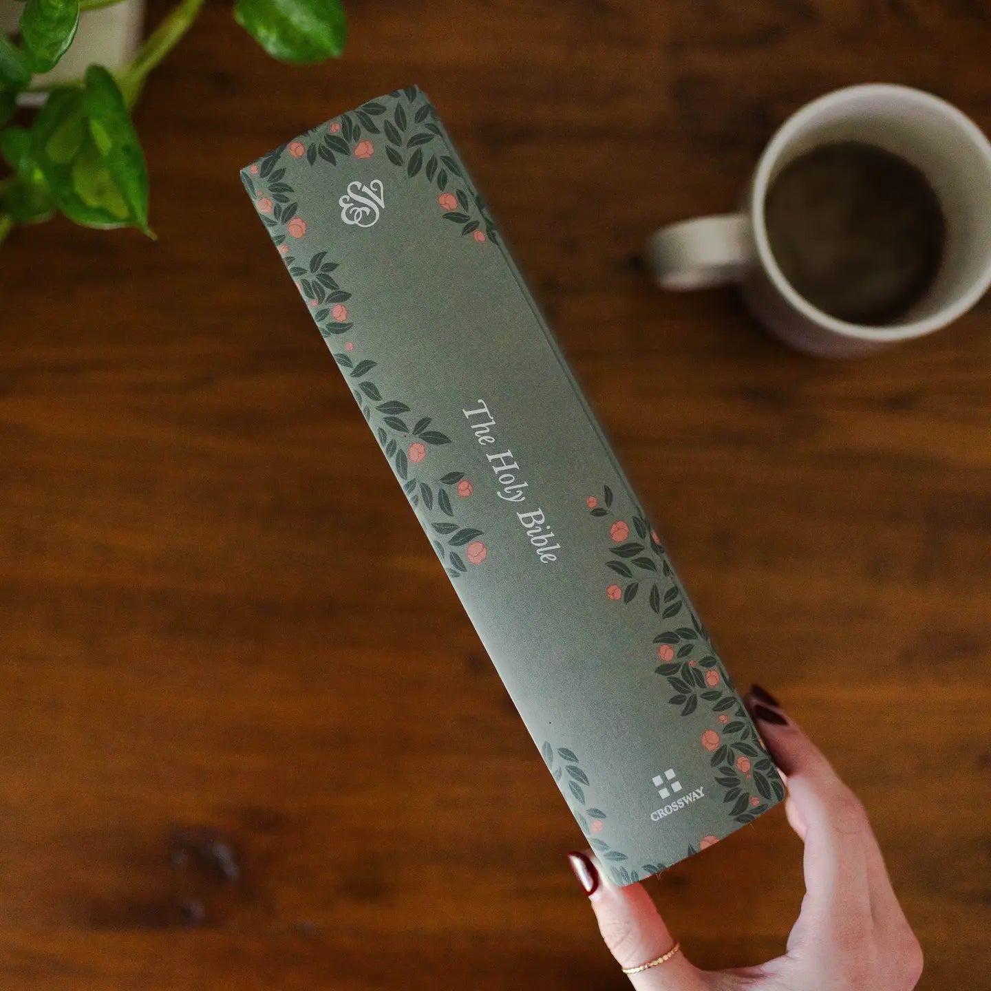 Esv Study Bible® | Abide