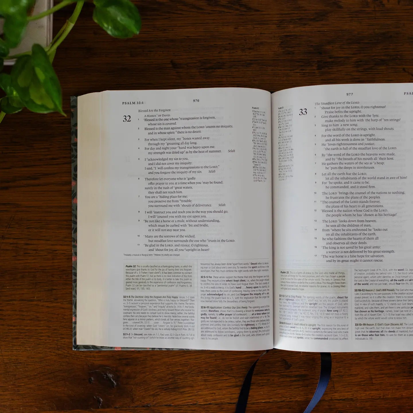 Esv Study Bible® | Abide