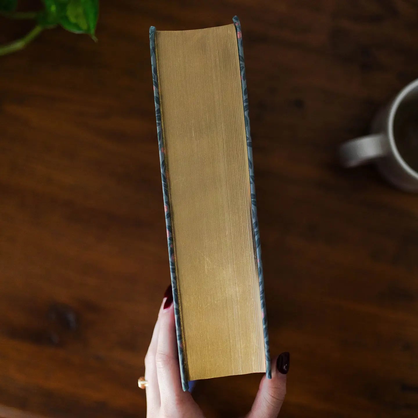 Esv Study Bible® | Abide