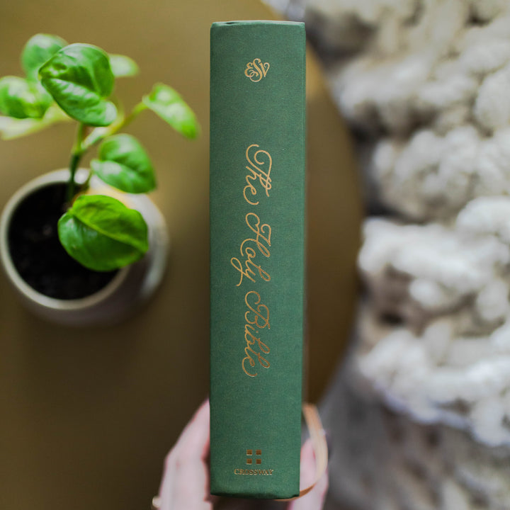 Esv Single Column Journaling Bible® | Stained Glass Blooms